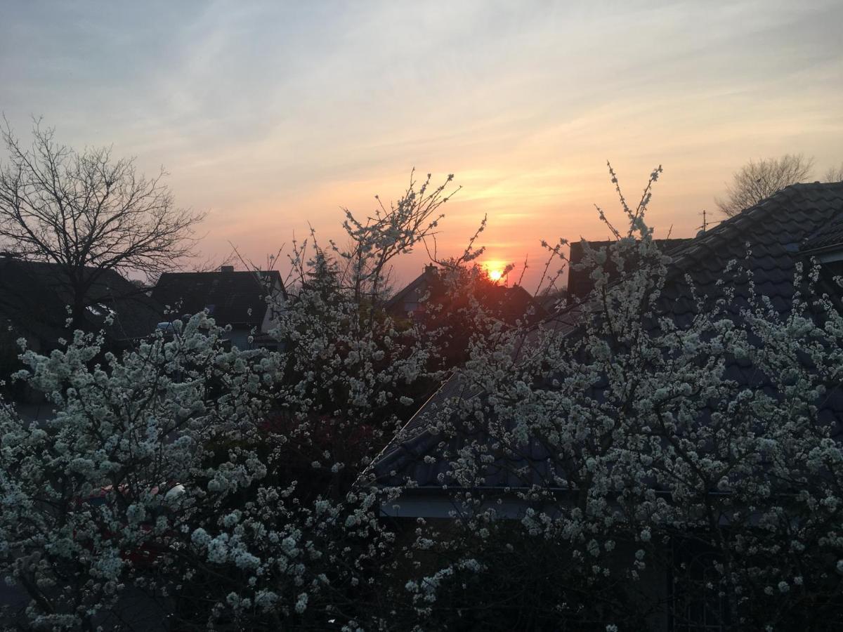 Spechtstrasse 65 Ferienwohnung Nordhorn Esterno foto